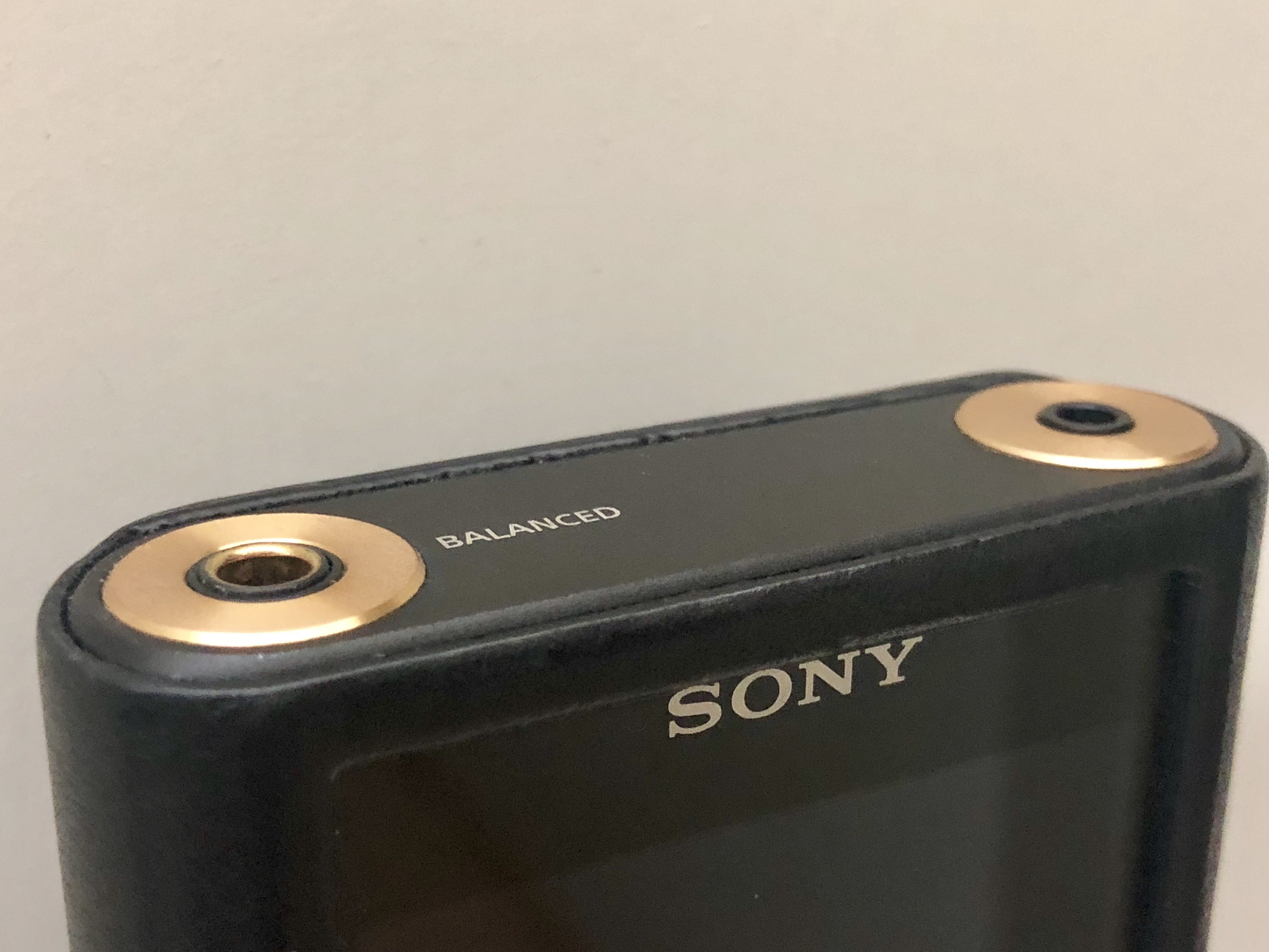 SONY NW-WM1A