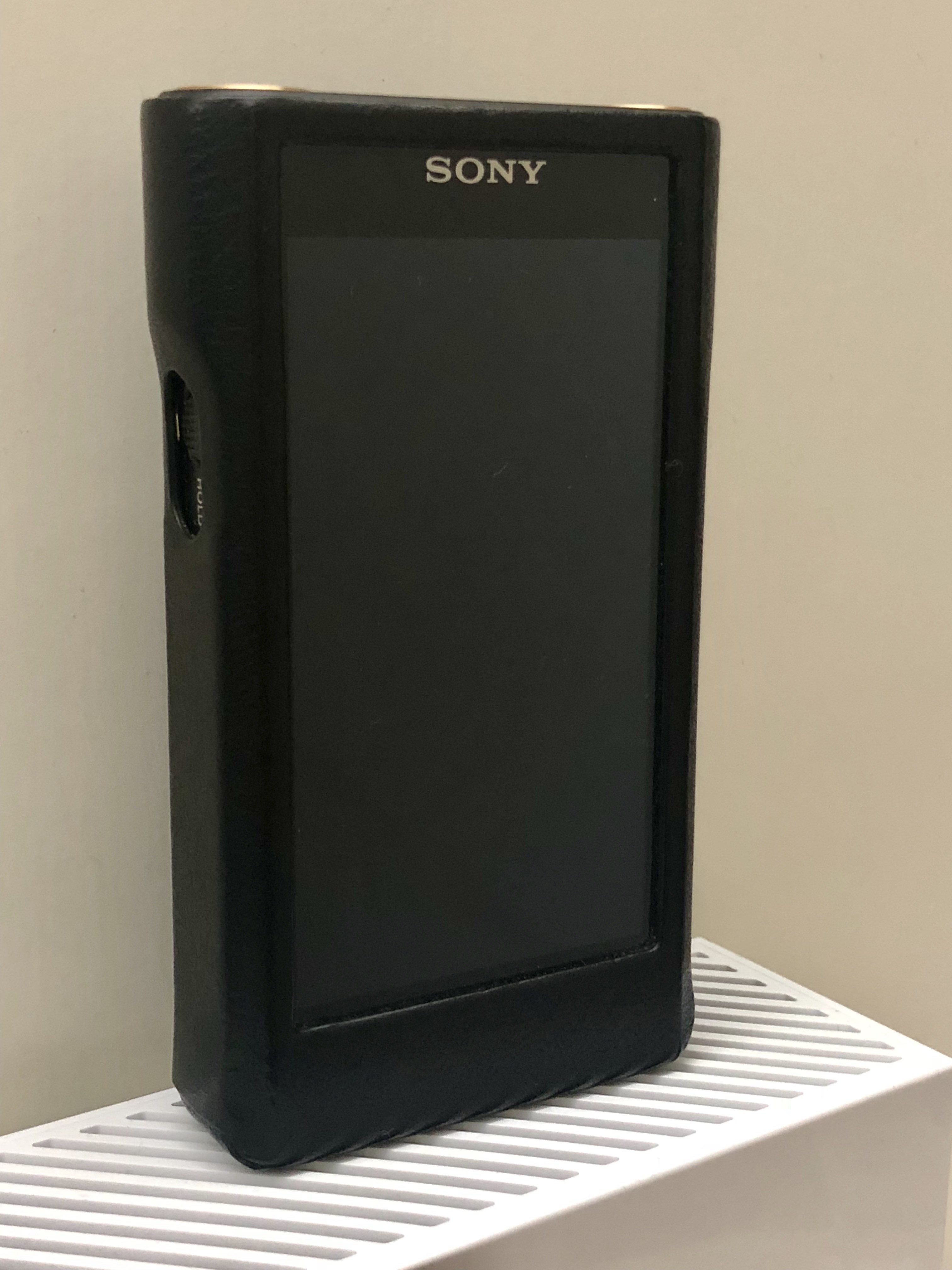 SONY NW-WM1A