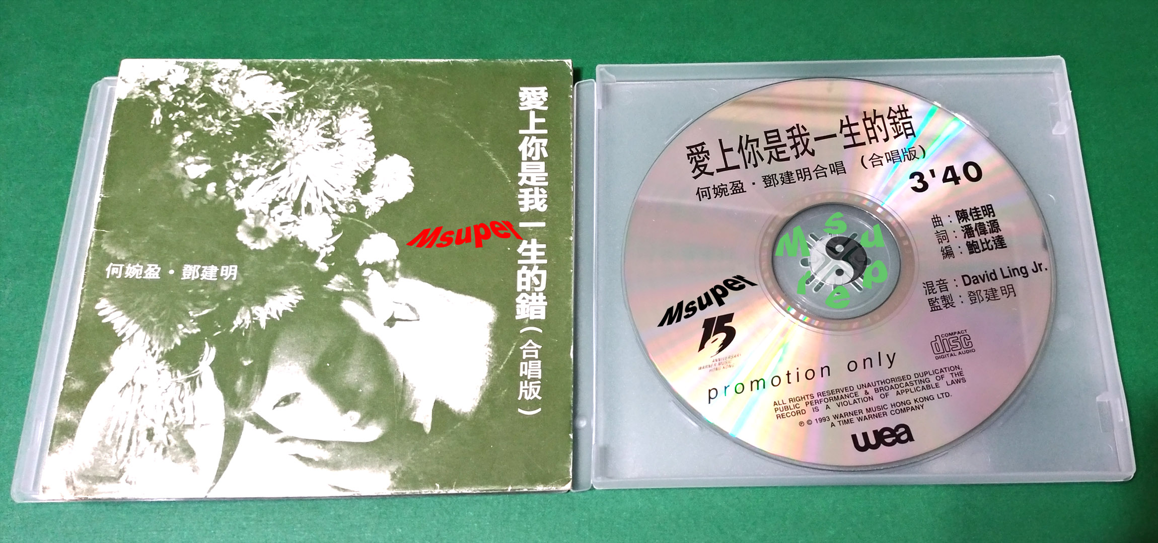 愛上你是我一生的錯.jpg