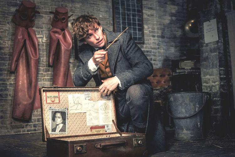 fantasticbeasts2_201807_02_fixw_750_lt.jpg