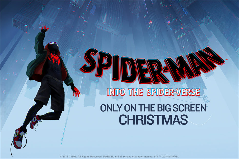 Spider Man Into The Spider Verse.jpg