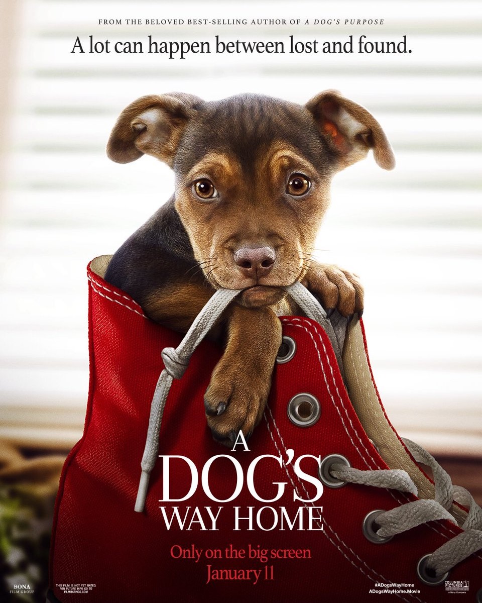 A Dog's Way Home.jpg