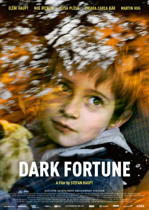 DarkFortune-300.jpg
