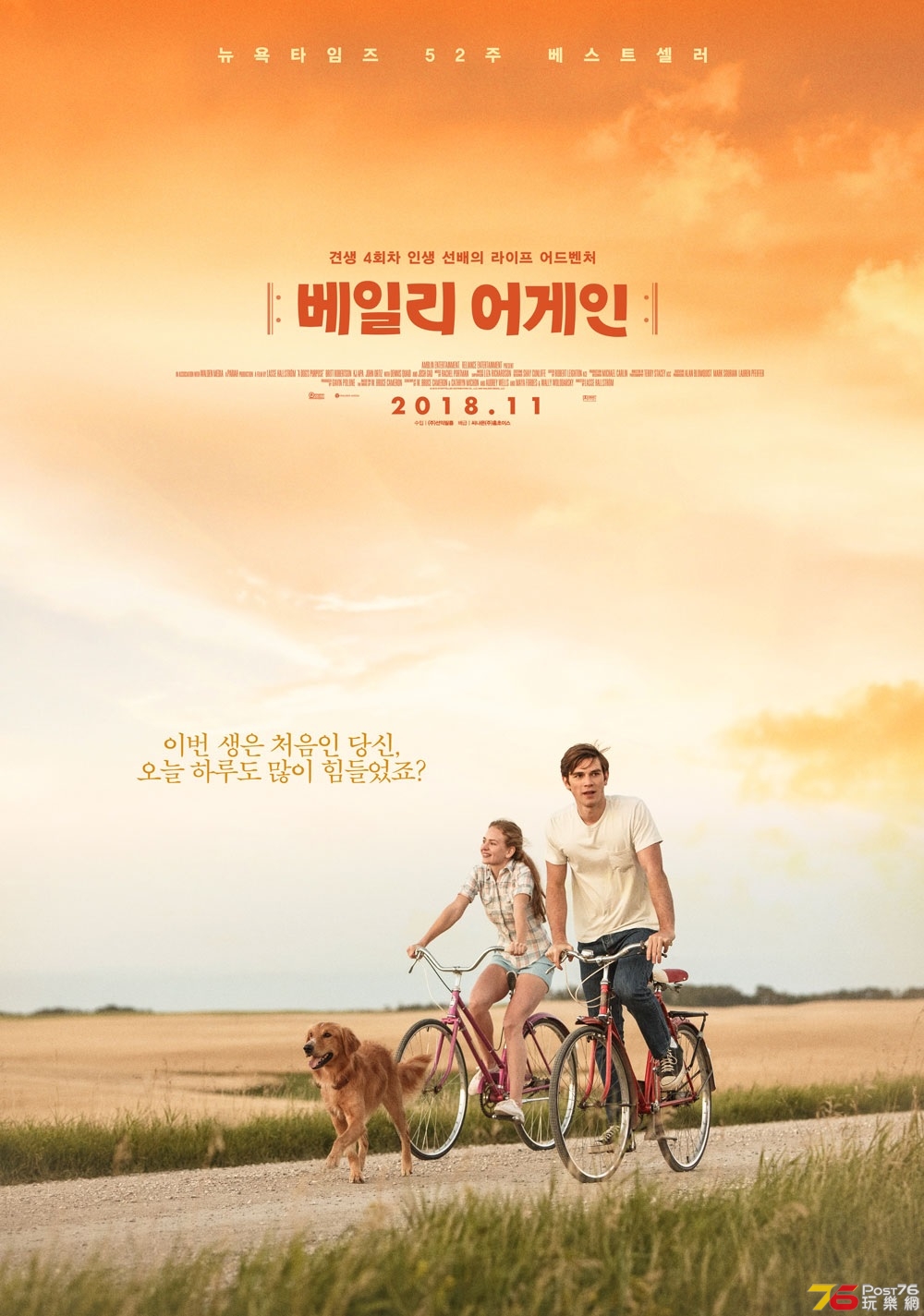 베일리 어게인1.jpg