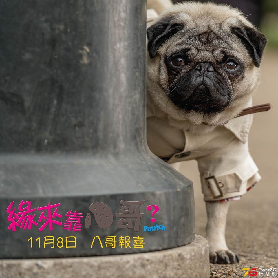 緣來靠八哥？1.jpg