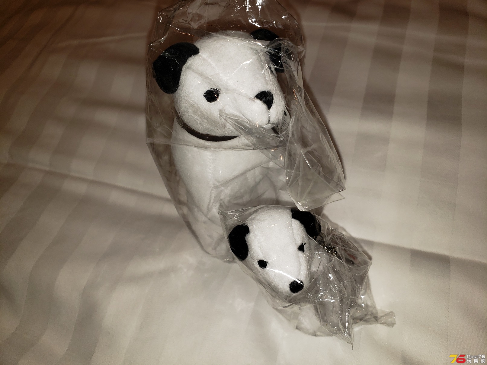 20181021_004919.jpg