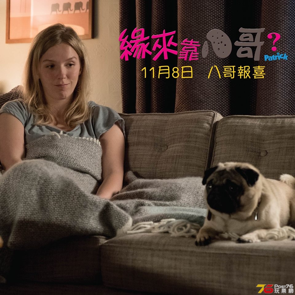 緣來靠八哥？8.jpg