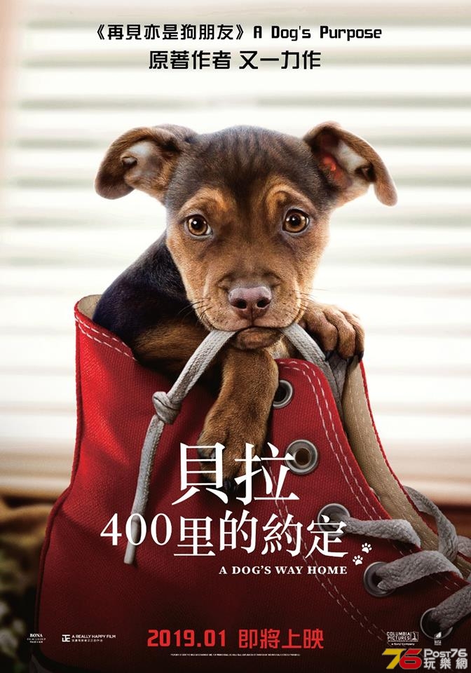貝拉400里的約定.jpg