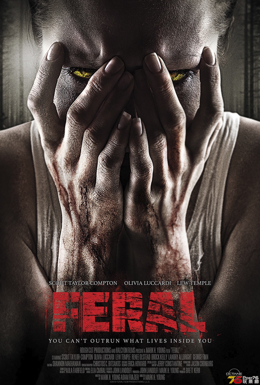 Feral 1.jpg