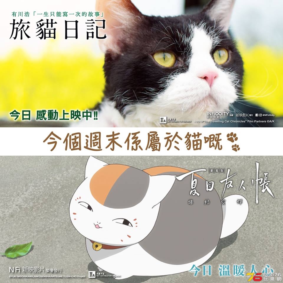 旅貓日記11.jpg