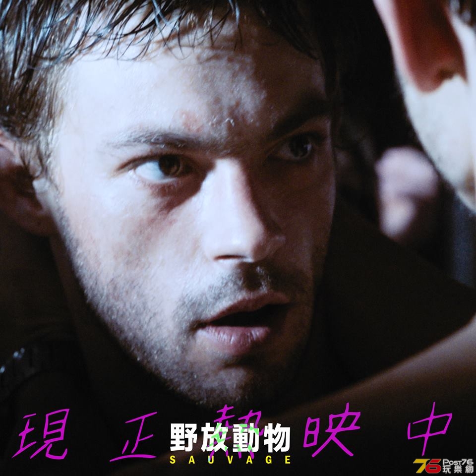 野放動物4.jpg