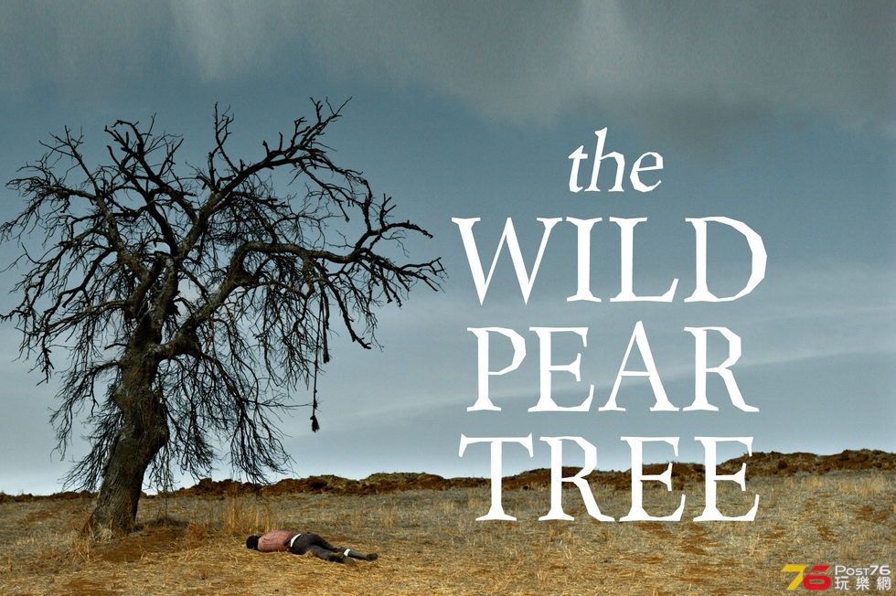 The Wild Pear Tree.jpg