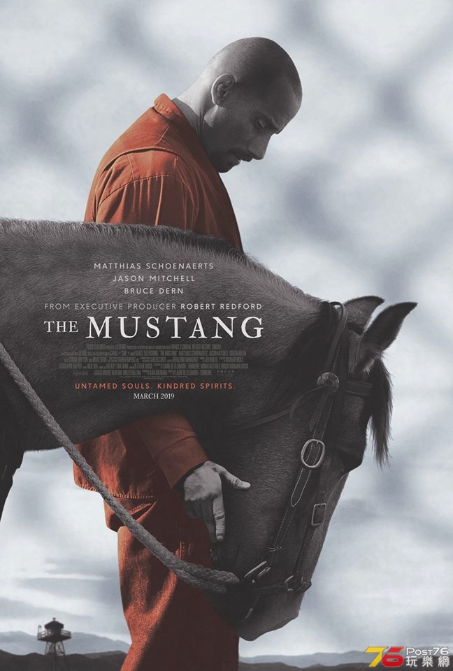 The Mustang.jpg