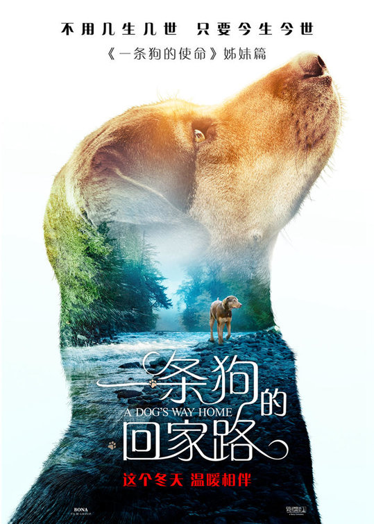 A Dog's Way Home 3.jpg