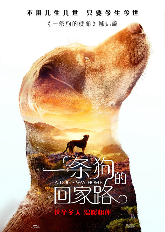 A Dog's Way Home 4.jpg