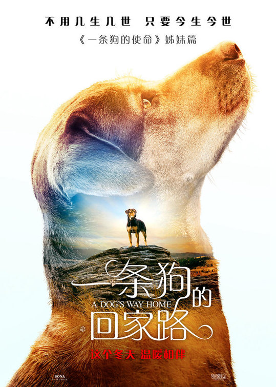 A Dog's Way Home 5.jpg
