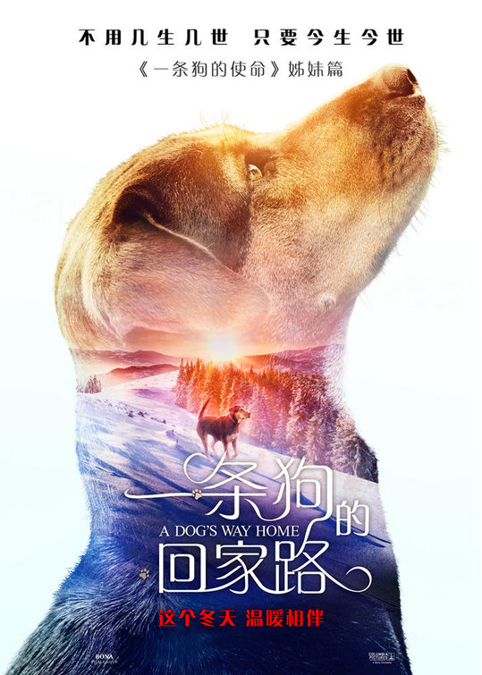 A Dog's Way Home 6.jpg