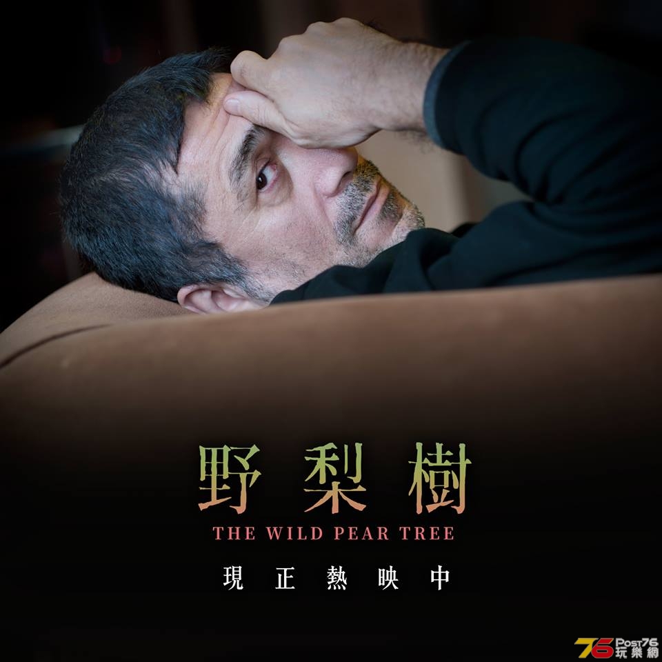 野梨樹.jpg