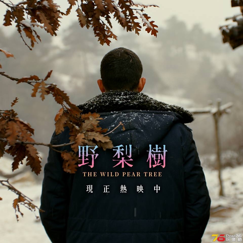 野梨樹1.jpg