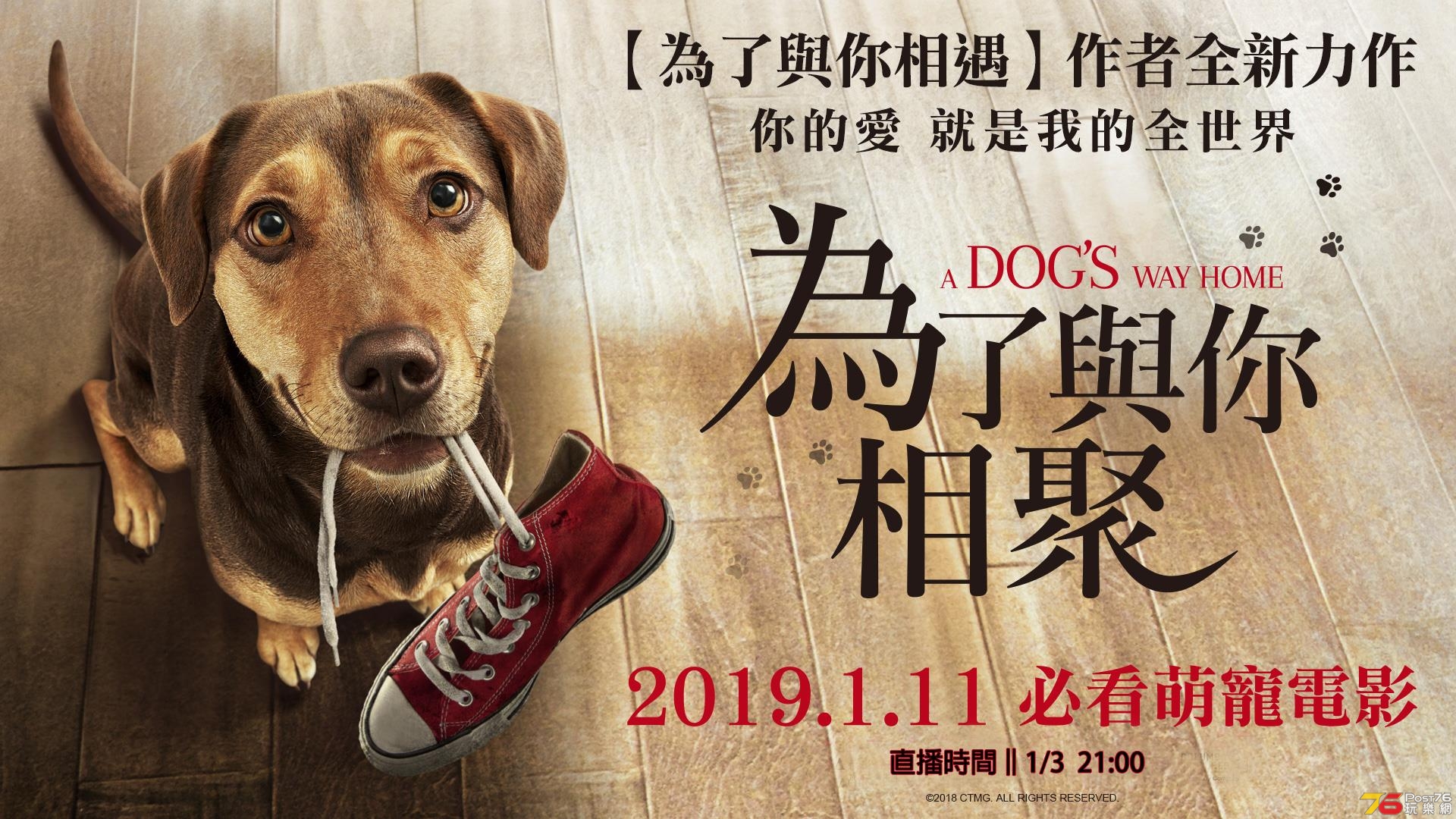 為了與你相聚.jpg