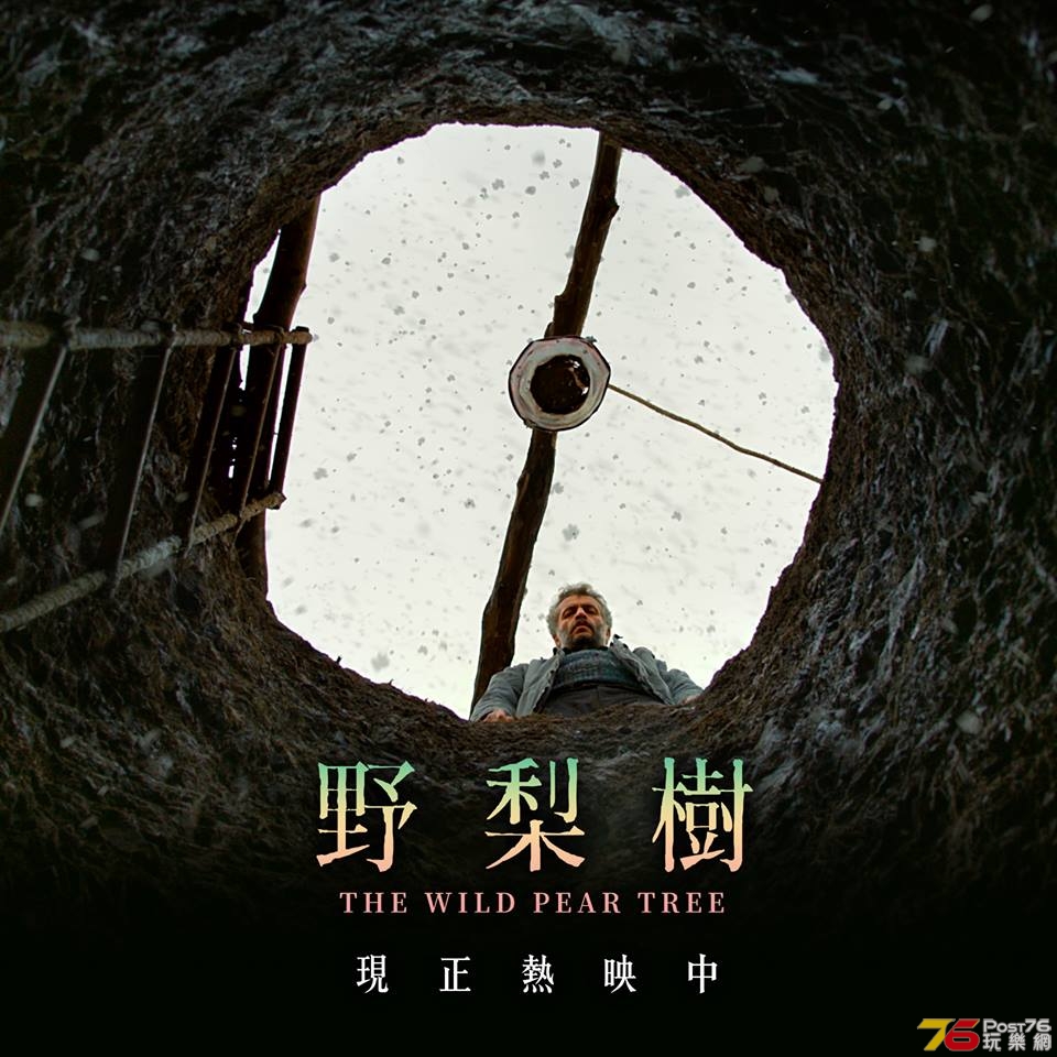 野梨樹2.jpg
