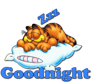 good-night-sleeping-garfield-graphic.gif