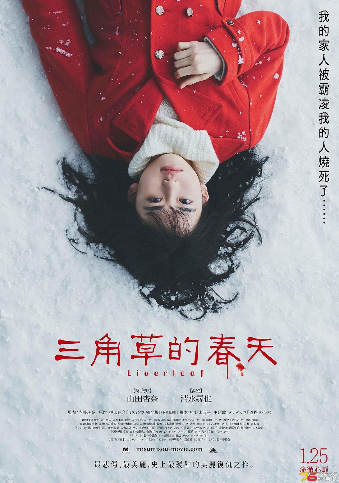 三角草的春天.jpg