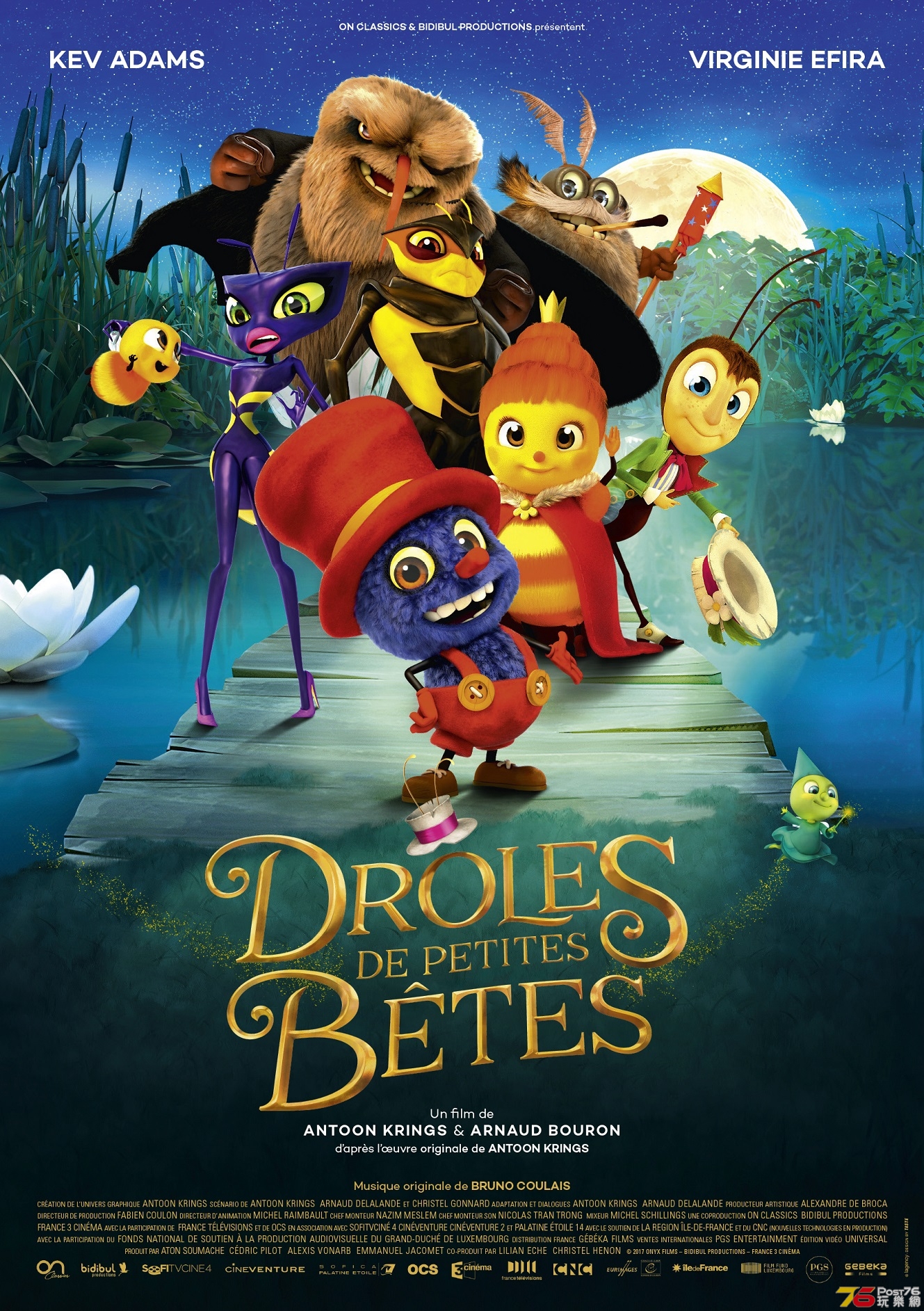 Drôles de petites bêtes.jpg