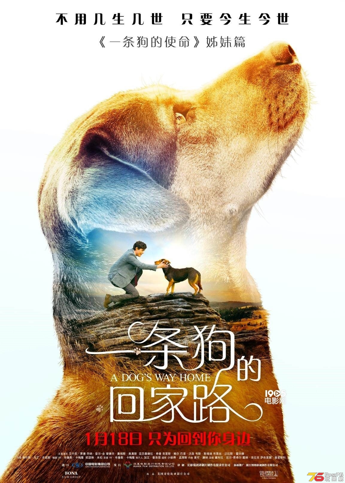 一條狗的回家路.jpg