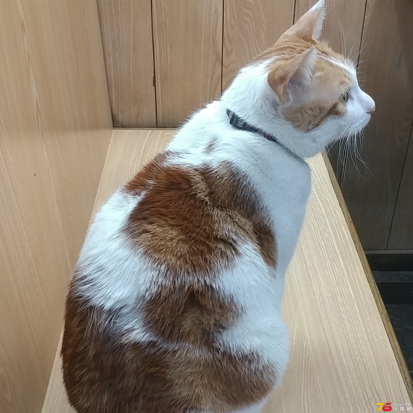 20190119_141626-2.jpg