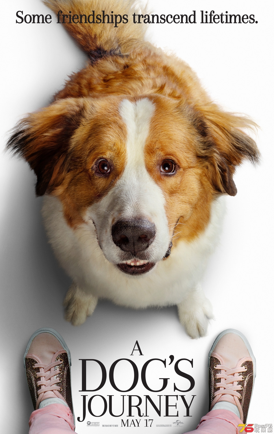 A Dog's Journey.jpg