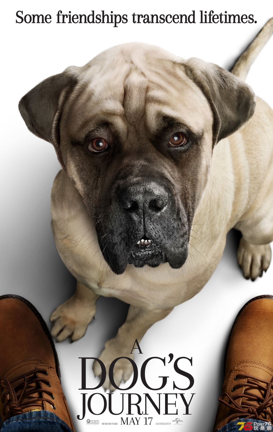 A Dog's Journey1.jpg