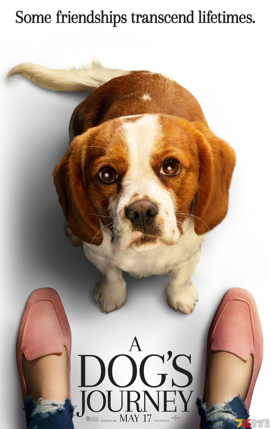 A Dog's Journey3.jpg
