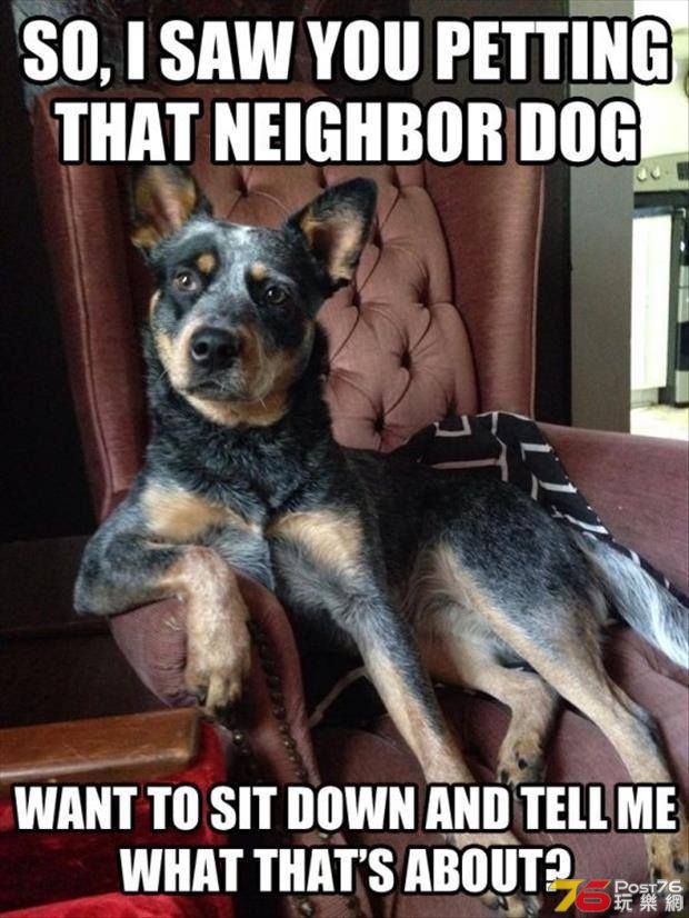 A Dog's Purpose.jpg