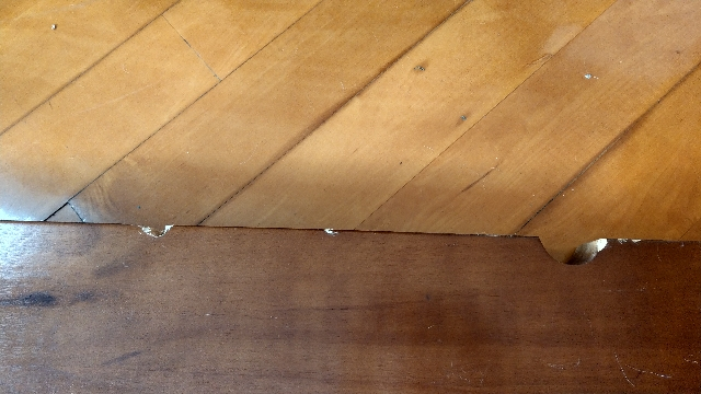 IMAG0281_640x360.jpg