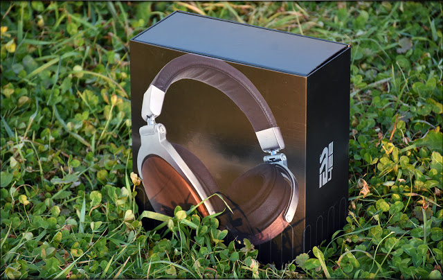 ESS-422H-Headphones-Over-The-Ear-Review-Audiophile-Heaven-Photo-12.jpg