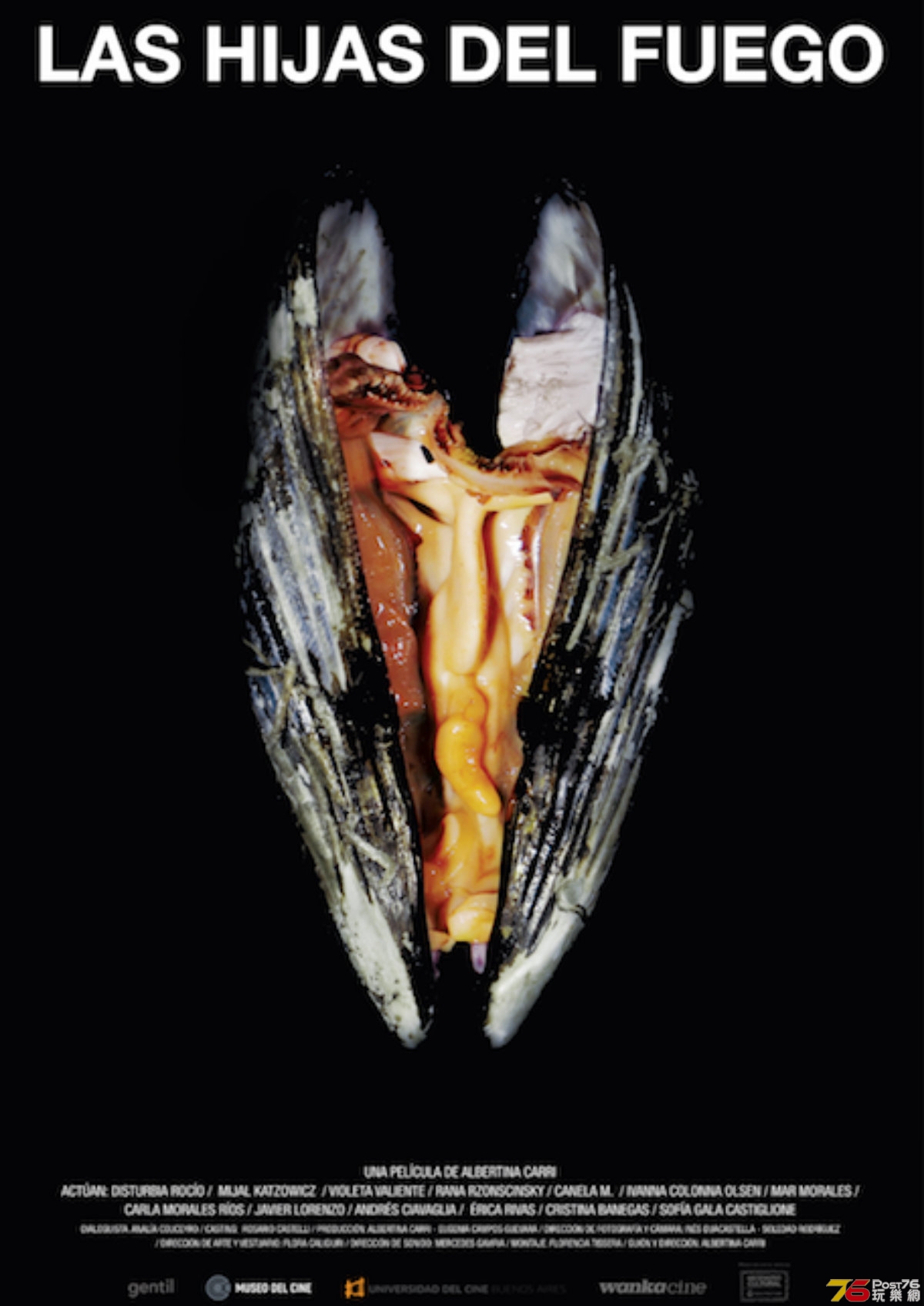 25846_1_large.jpg