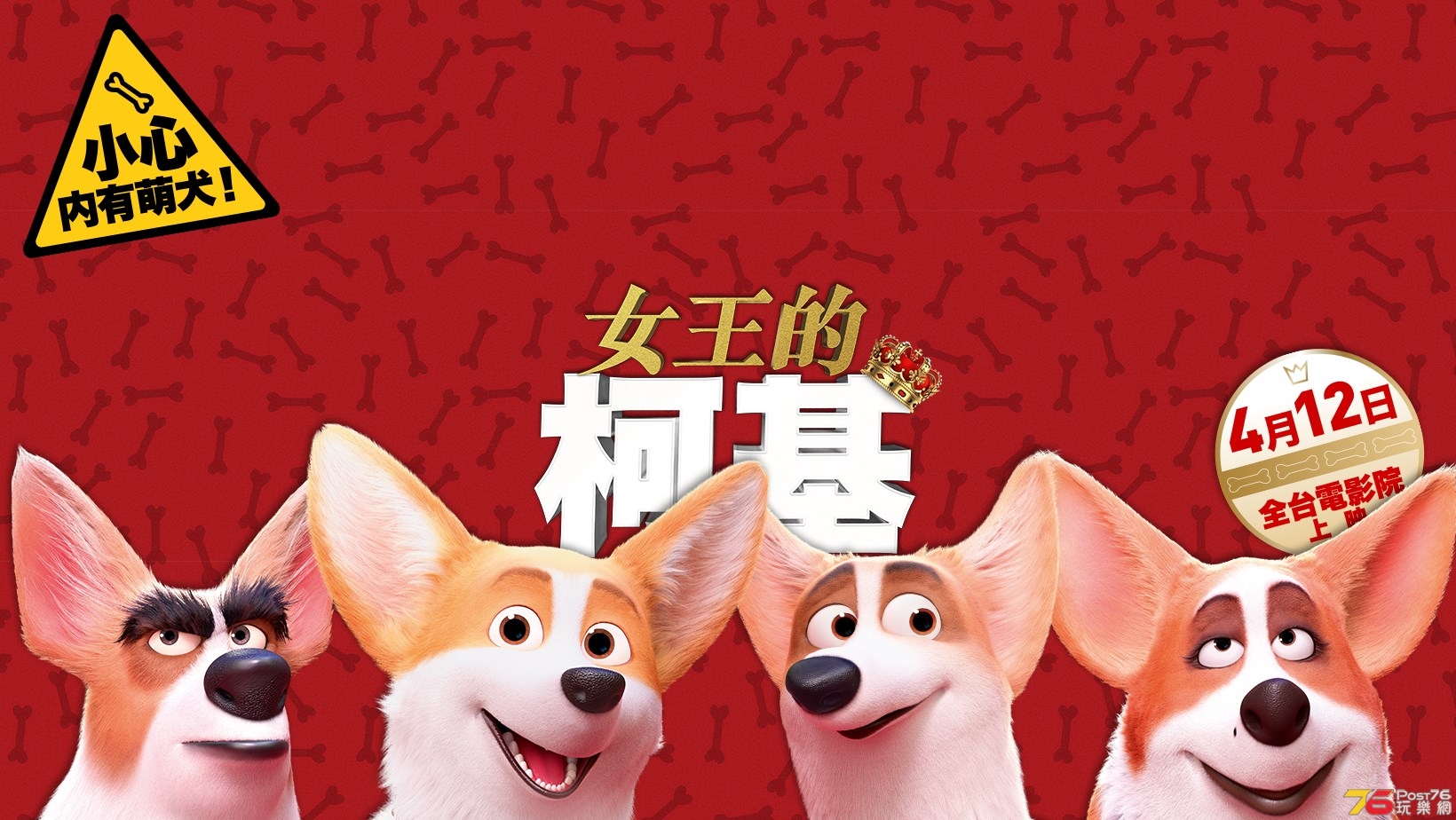女王的柯基1.jpg