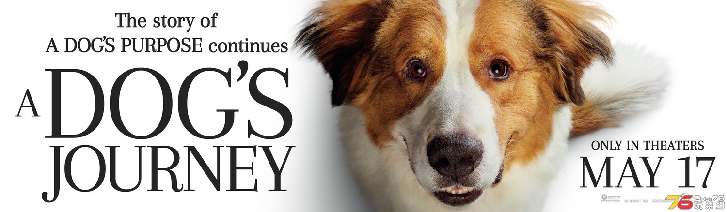 A Dog's Journey 5.jpg