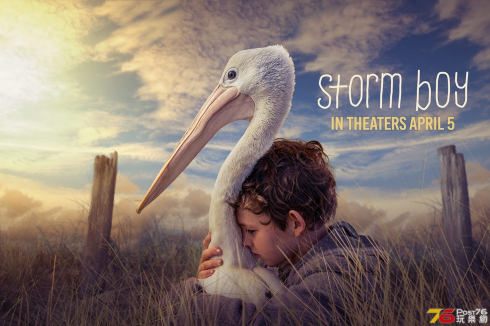 Storm Boy 2.jpg