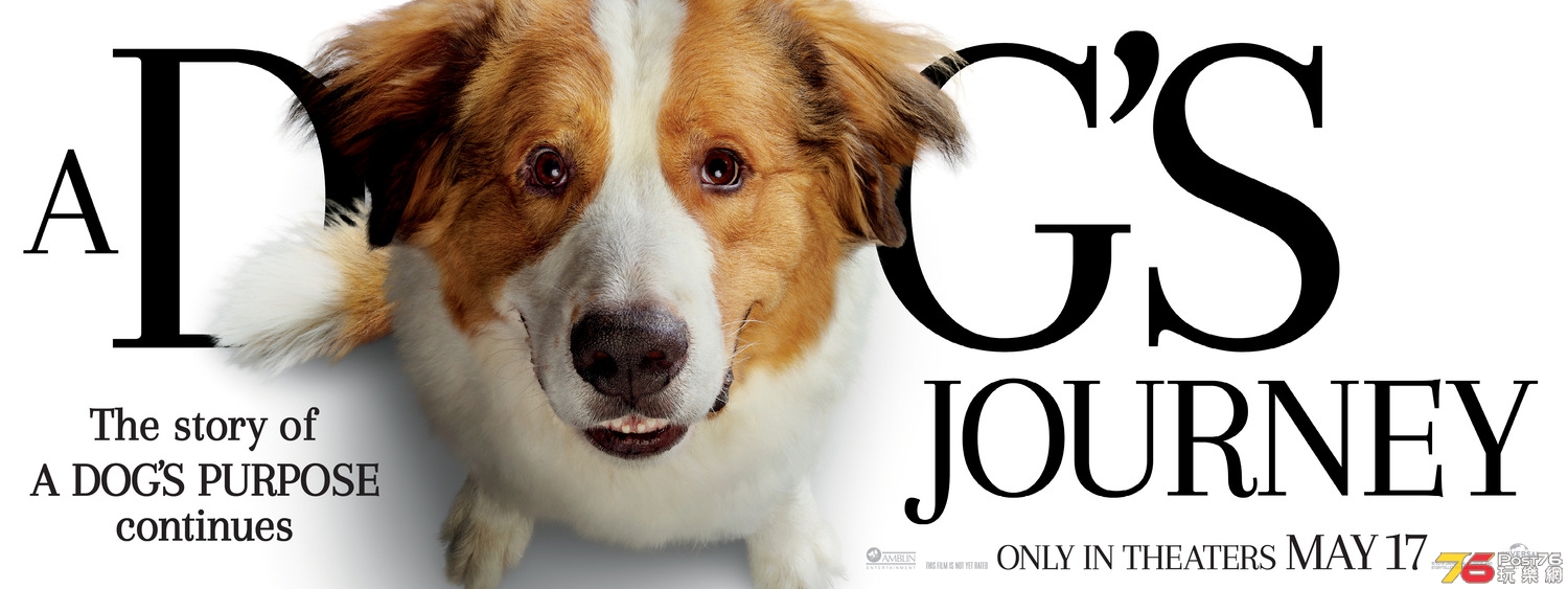 A Dog's Journey5.jpg