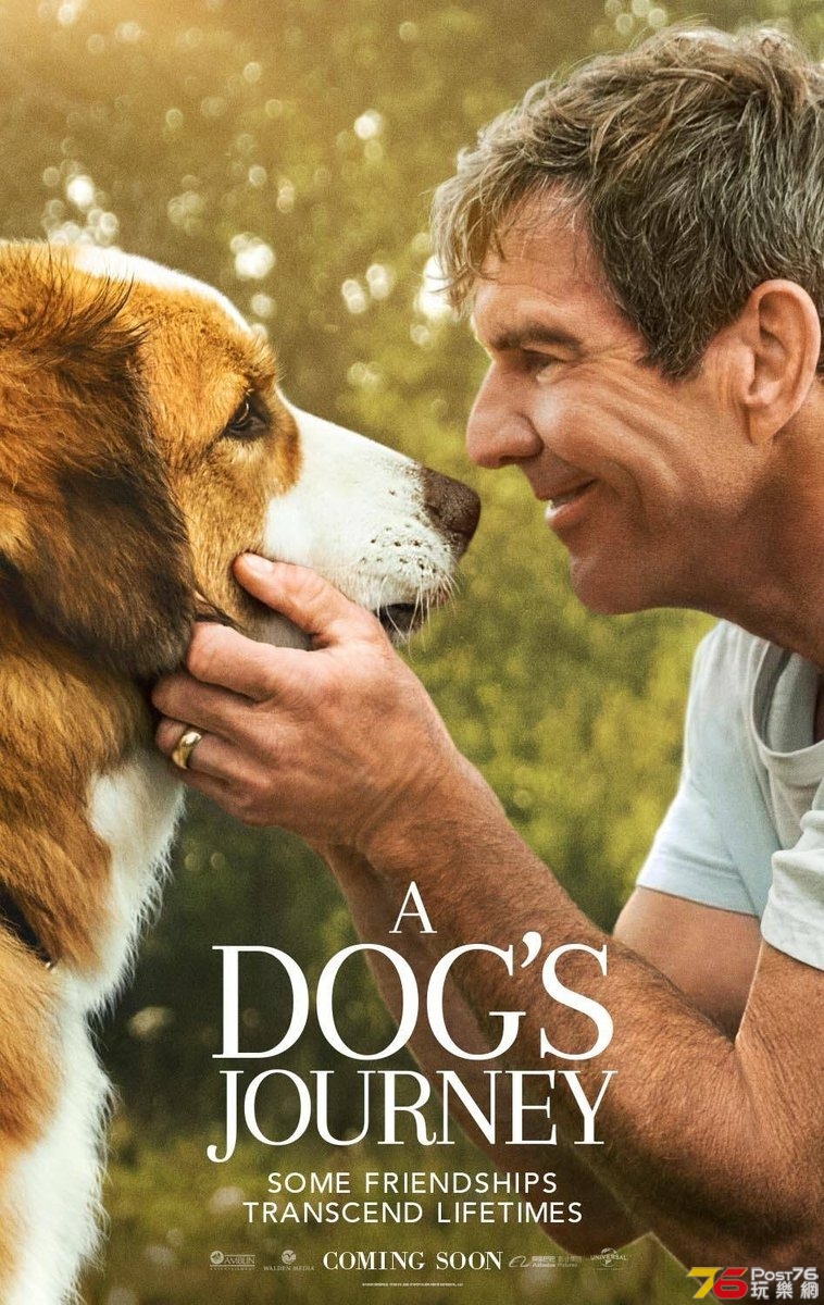 A Dog's Journey6.jpg