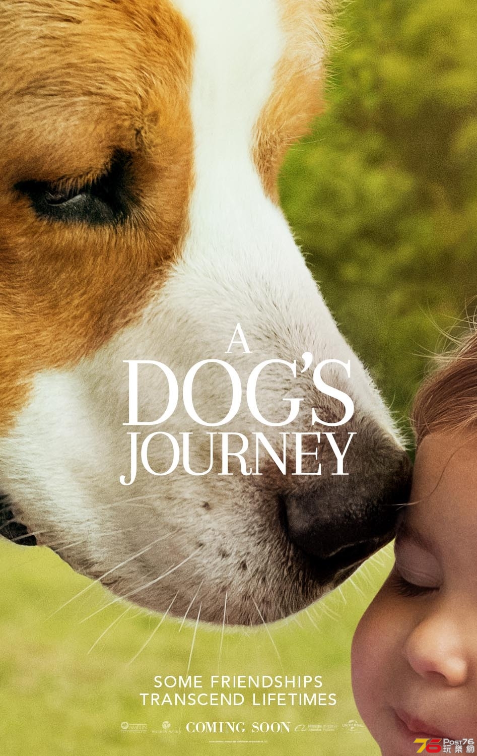 A Dog's Journey5.jpg
