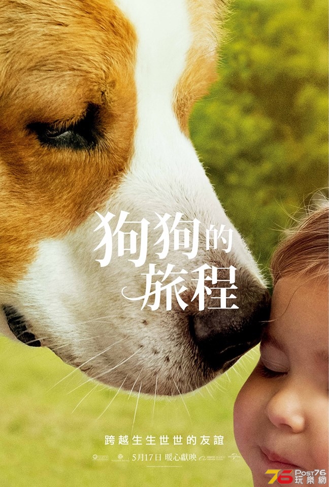 狗狗的旅程1.jpg