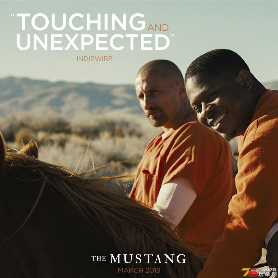 The Mustang 4.jpg