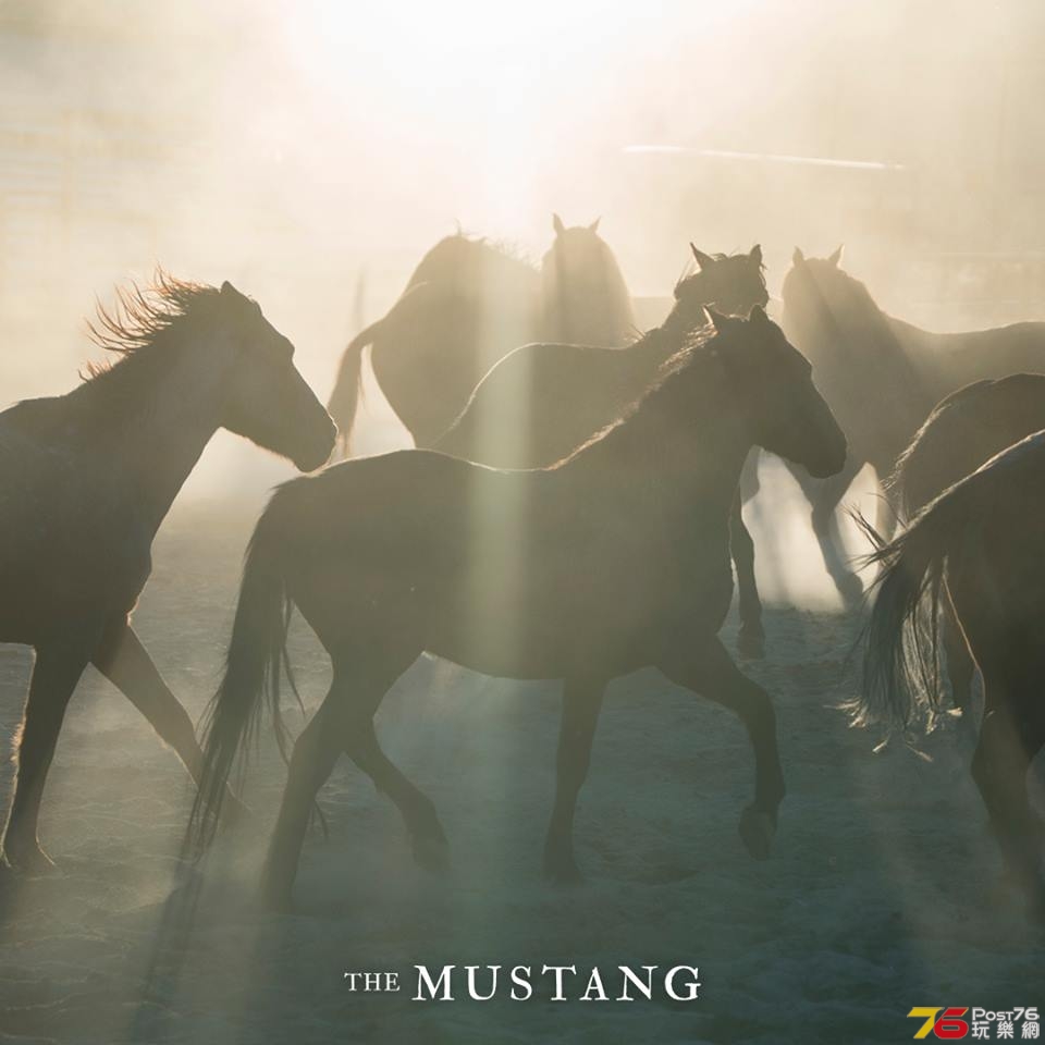 The Mustang 5.jpg