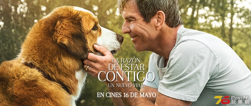 La Razon De Estar Contigo.jpg