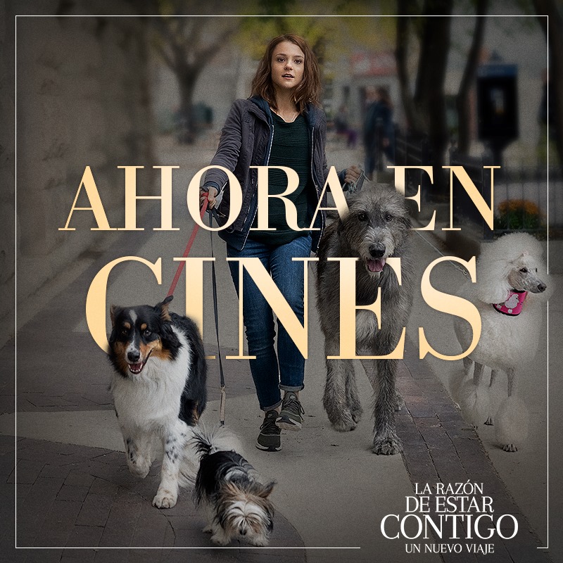 La Razon De Estar Contigo 1.jpg