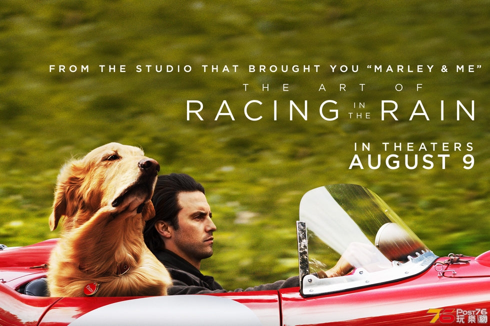 The Art of Racing in the Rain1.jpg