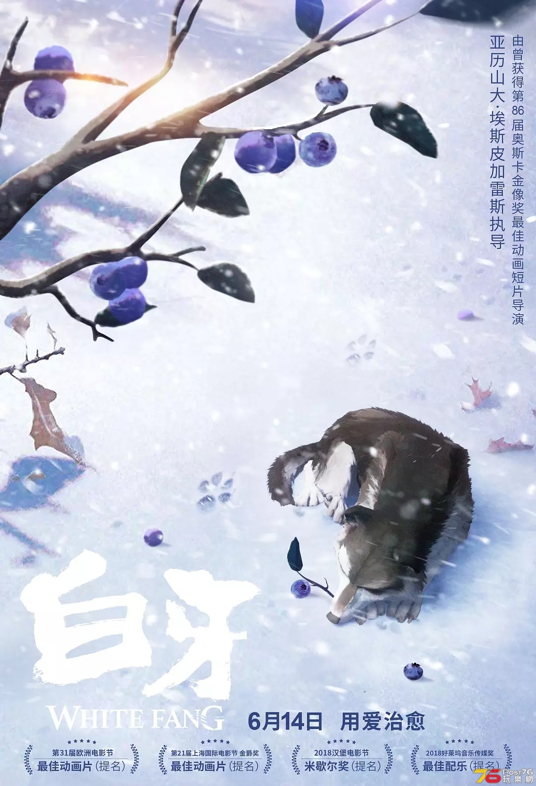 白牙.jpg